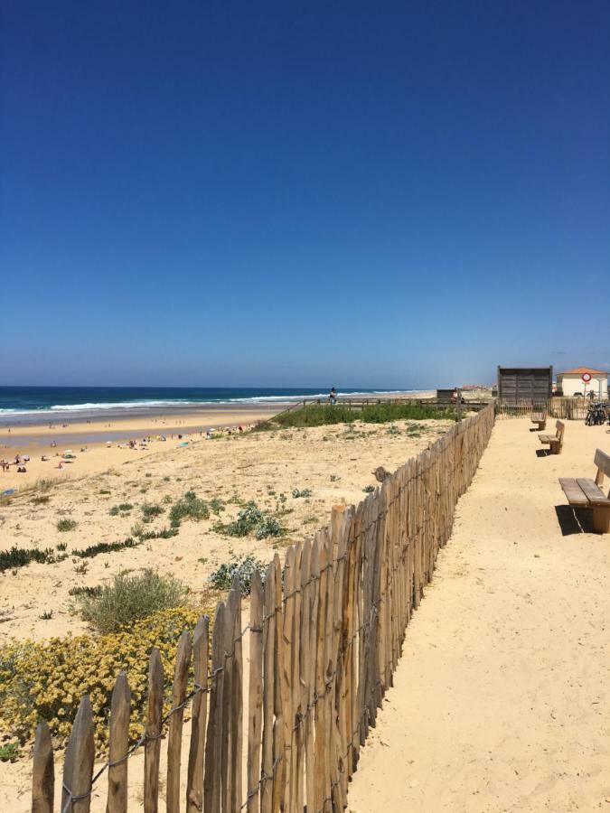 Appartement A 500 Metres De L'Ocean Mimizan-Plage エクステリア 写真